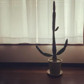 Instagram post