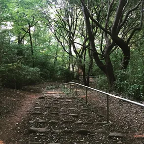 Instagram post