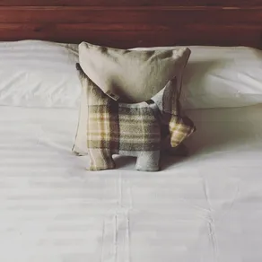 Instagram post