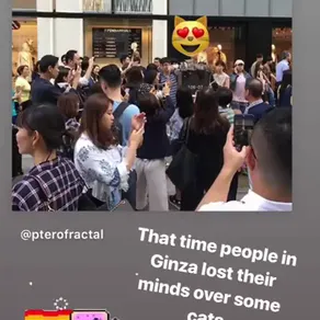 That time people in Ginza lost their minds over some cats