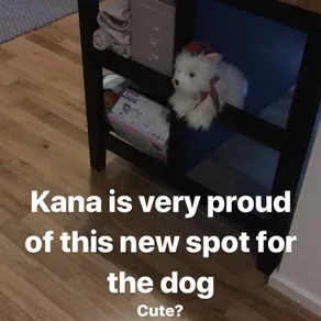 Kana is very proud of this new spot for the dog