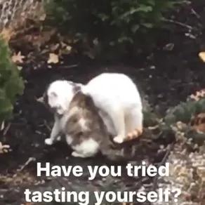 Have you tried tasting yourself? I'm delicious