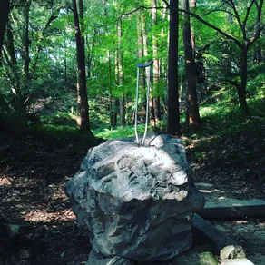 Instagram post