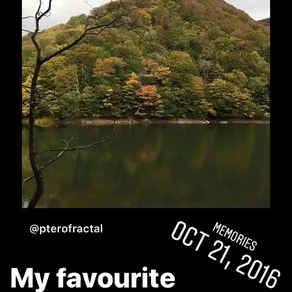 My favourite season