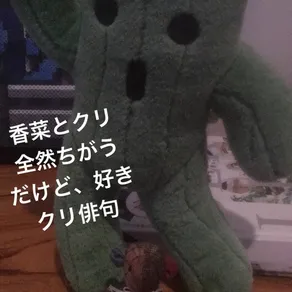香菜とクリ
全然ちがう
だけど、好き
クリ俳句